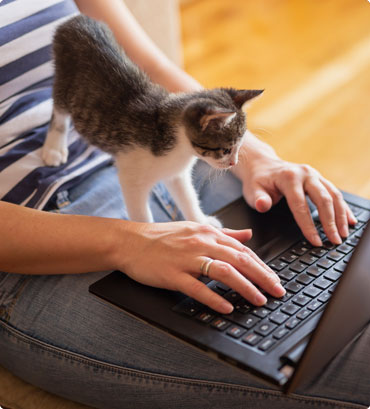 kitten overseeing human on laptop
